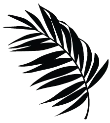 Artboard