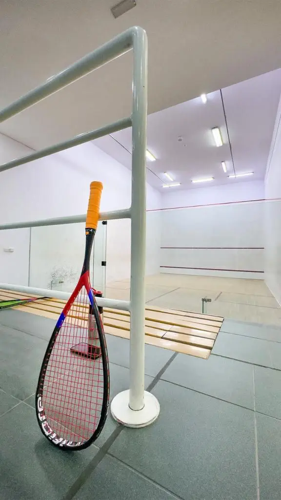 Badminton court at estay