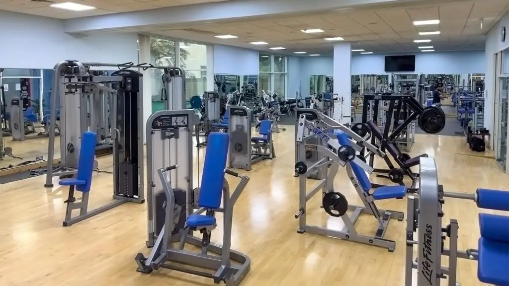 gym at estay