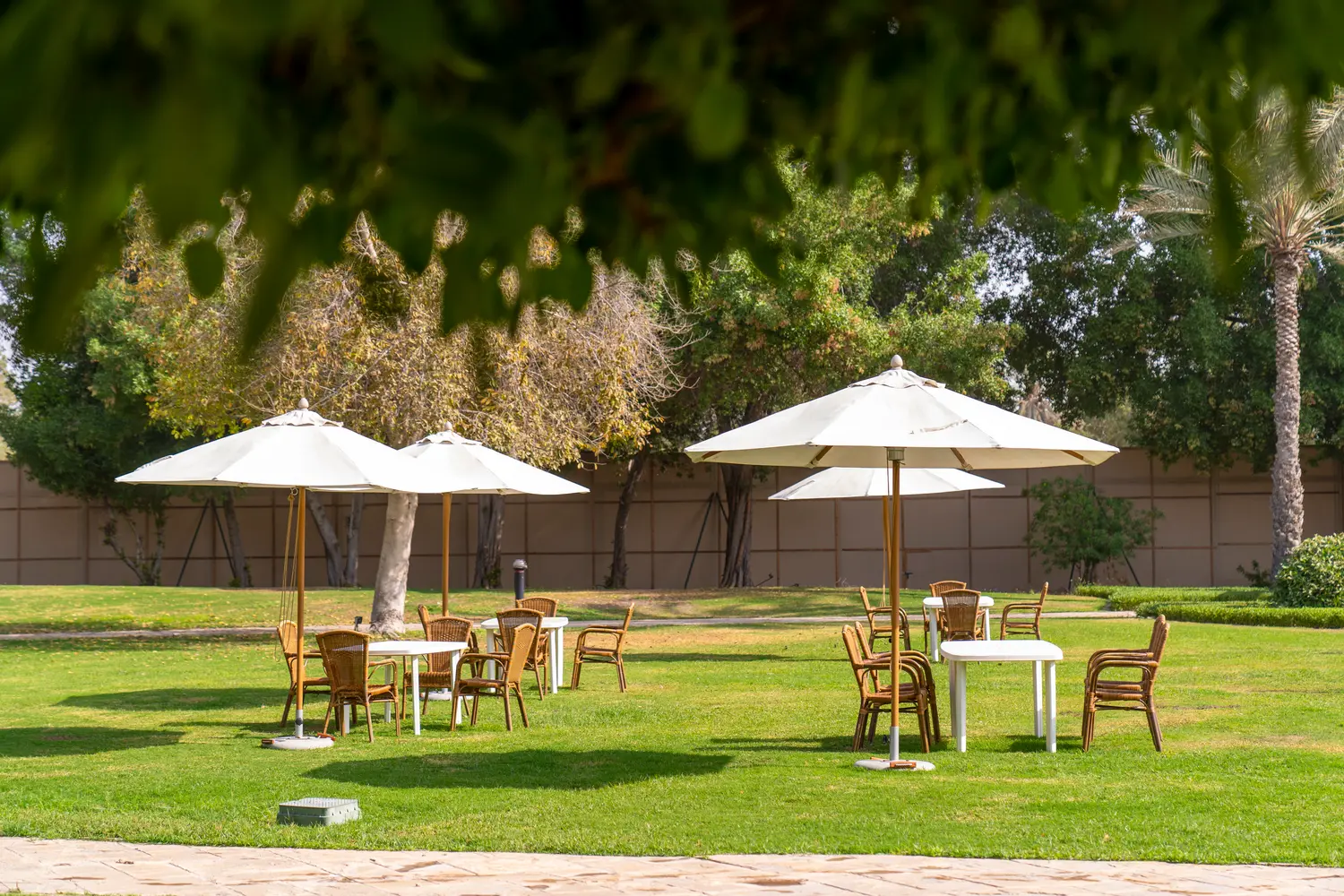 eStay Hotel garden