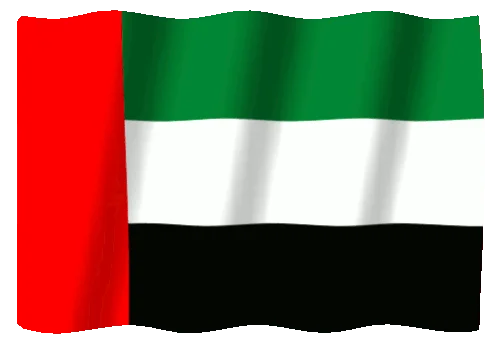 UAE Flag